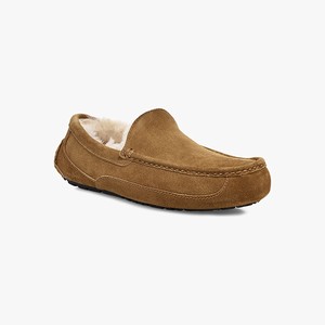 Ugg Ascot Men Slippers Brown (1672IPBAT)